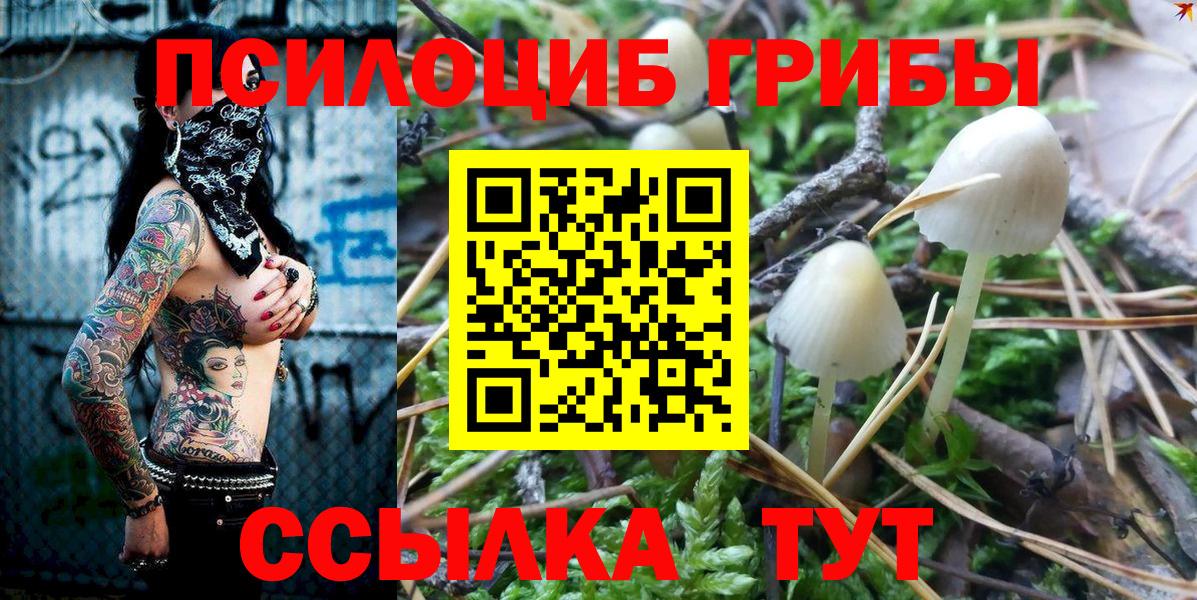 Дальнереченск  Галлюциногенные грибы Psilocybe  Вход с VPN  Галлюциногенные грибы ЛСД 